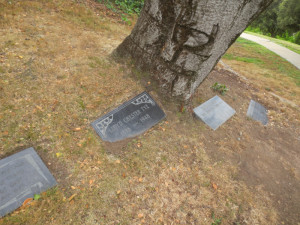 Lloyd Chester Tye Grave