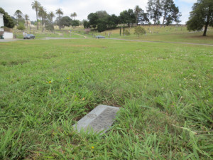 W.H. Tye and Mae Tye Grave